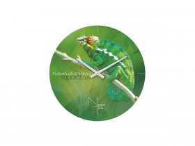 Часы настенные Nicole Time NT503 в Шахте - shahta.mebel-nsk.ru | фото